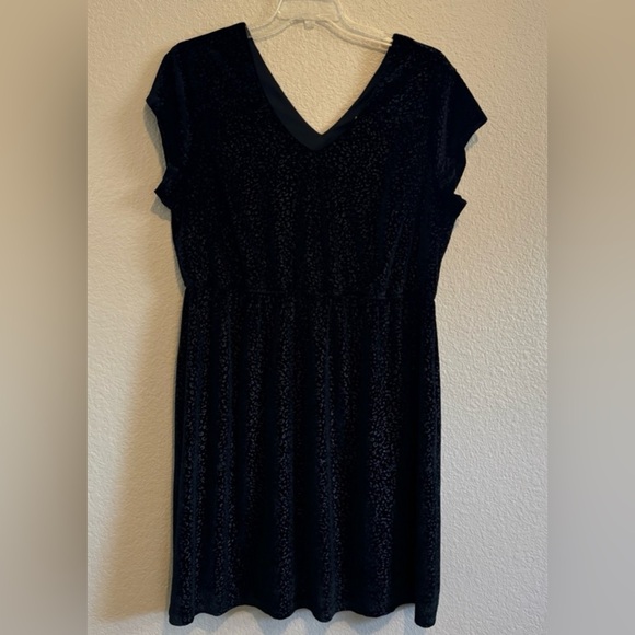 NWT American Rag 2X Black Faux‎ Velvet Dress - Picture 1 of 6